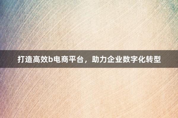 打造高效b电商平台，助力企业数字化转型