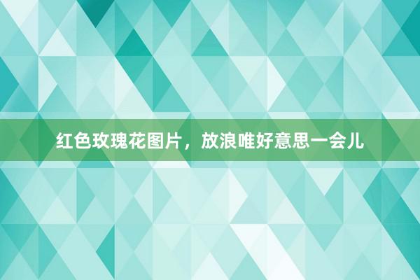 红色玫瑰花图片，放浪唯好意思一会儿