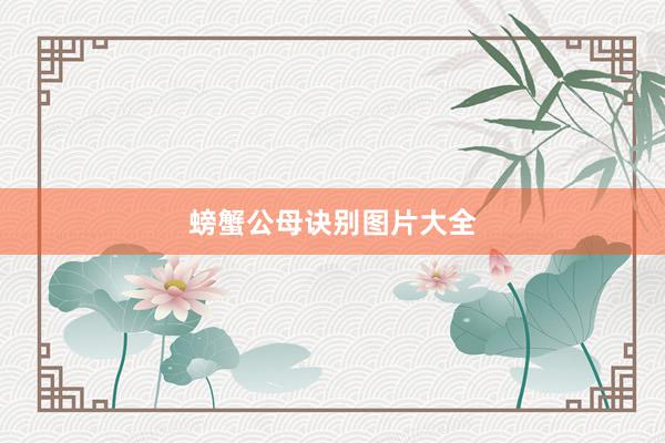 螃蟹公母诀别图片大全