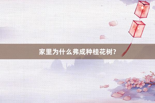 家里为什么弗成种桂花树？